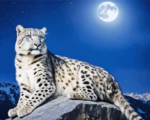 Moon Snow leopard paint by numbers