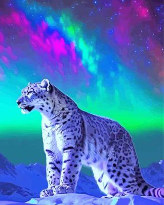 Northern Lights Snow Leopard