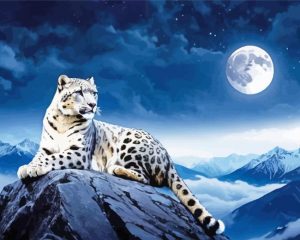 Snow Leopard On Mountain paint by number