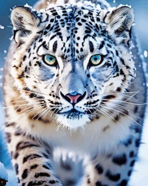 Snow Leopard Paint By Numbers
