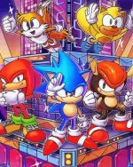 Sonic The Hedgehog Game paint by number