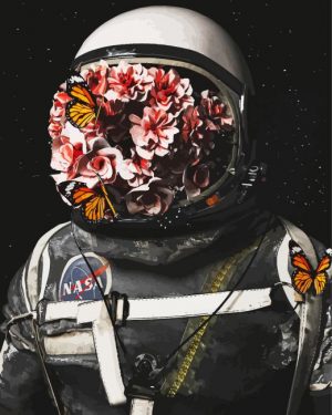Space Nasa Flowernaut paint by numbers