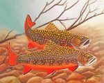 The Brook Trout Fish Paint By Numbers