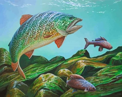 The Lake Trout Fish Paint By Numbers