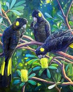 Black Cockatoos Paint By Number