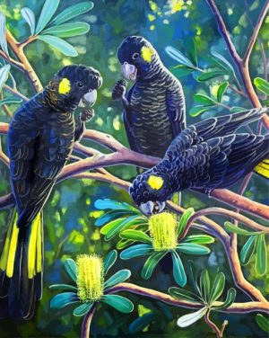 Black Cockatoos Paint By Number