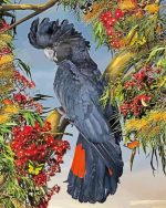Aesthetic Black Cockatoo Bird Paint By Number
