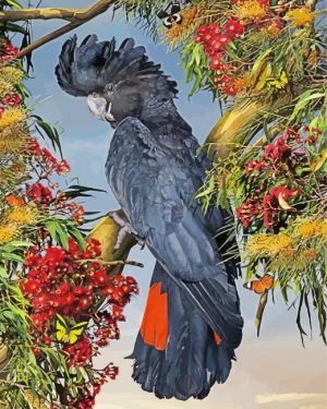 Aesthetic Black Cockatoo Bird Paint By Number