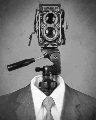 Aesthetic Cameraman Paint By Numbers art