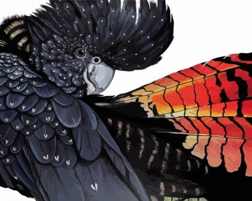 Aesthetic Black Cockatoo Paint By Number