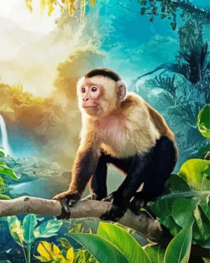 Aesthetic Capuchin Monkey Paint By Number