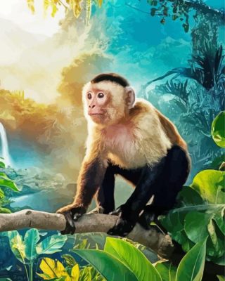 Aesthetic Capuchin Monkey Paint By Number