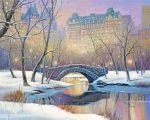 Aesthetic Winter Central Park Paint By Number
