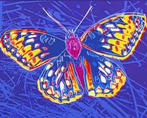 Andy Warhol Butterfly Paint By Number