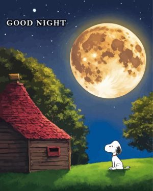 Snoopy Good Night Paint By Number