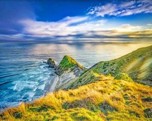 Auckland Landscape Paint By Number