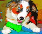 Australian Shepherd Aussie Dog Paint By Number