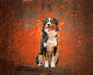 Black Tri Australian Shepherd Paint By Number