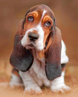 Cute Basset Hound Dog Paint By Numbers