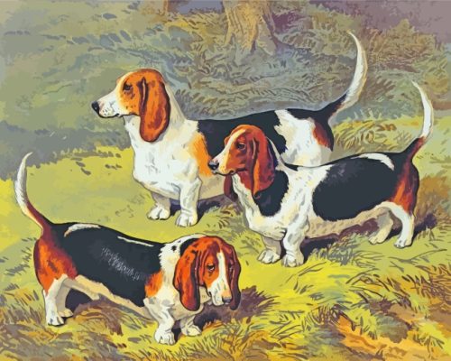 Basset At The Beach Paint By Number