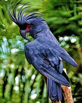 Black Cockatoo Bird Paint By Number