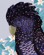 Black Cockatoo Illustration Paint By Number