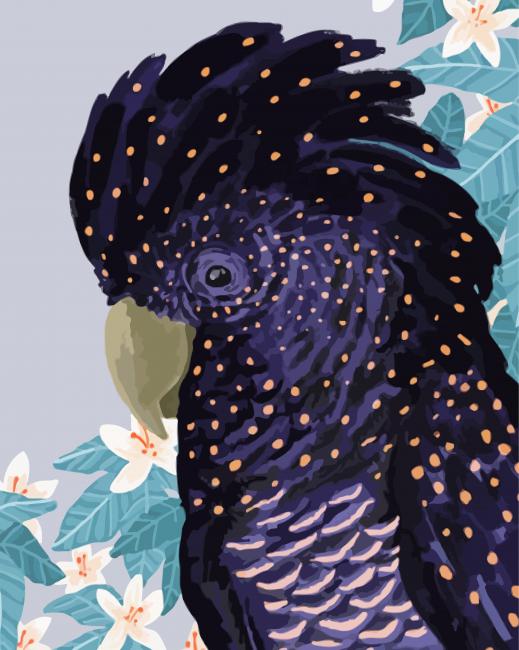 Black Cockatoo Illustration Paint By Number