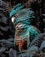 Black Cockatoo Paint By Number