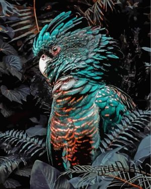 Black Cockatoo Paint By Number