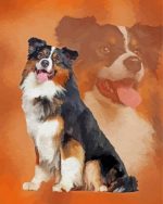 Australian Shepherd Art Paint By Number