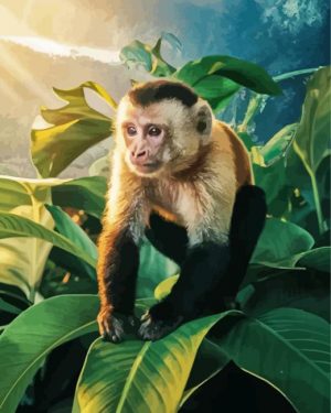 Lonely Capuchin Monkey Paint By Number