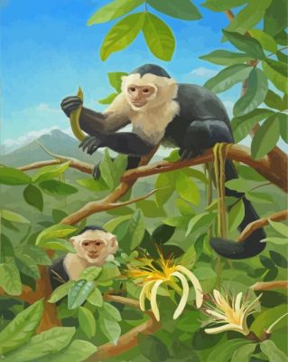 Panamanian White Faced Capuchin Monkeys
