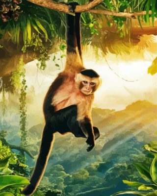Cool Capuchin Monkey Paint By Number