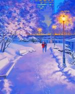 Winter Central Park New York Paint By Number