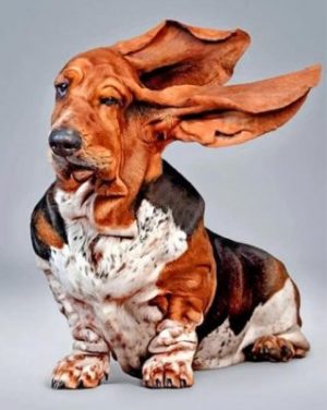 Funny Basset Hound Paint By Numbe