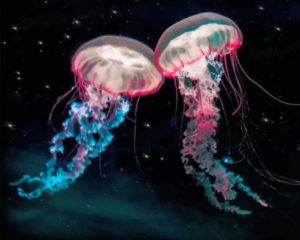 Galaxy Jellyfishes Paint By Numbers