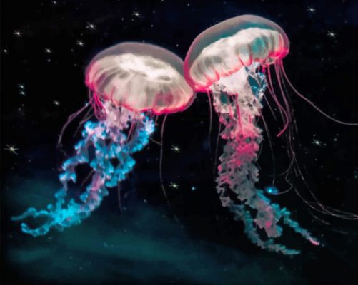 Galaxy Jellyfishes Paint By Numbers