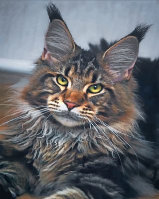 Aesthetic Maine Coon Cat Paint By Number
