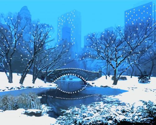 Night Central Park Winter Art Paint By Number