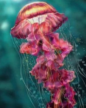Pink Jellyfish Paint By Numbers