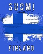 suomi finland flag paint by numbers