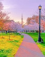 Toronto Cherry Blossoms paint By Numbers