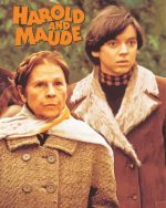 Vintage Harold And Maude Poster Paint By NumbersVintage Harold And Maude Poster Paint By Number