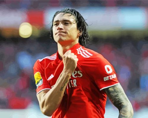 Footballer Nunez Paint by Number