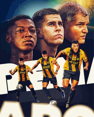 Penarol Football Art Paint by Number