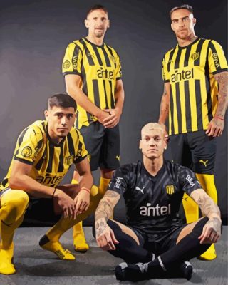 Penarol Players Paint by Number