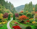 Butchart Gardens Paint by Number