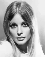 Sharon Tate Paint by Number