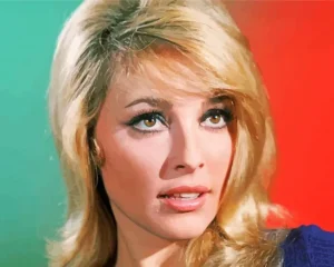 Aesthetic Sharon Tate Paint by Number