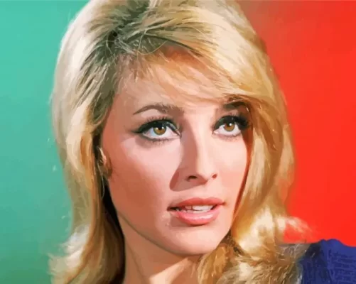 Aesthetic Sharon Tate Paint by Number